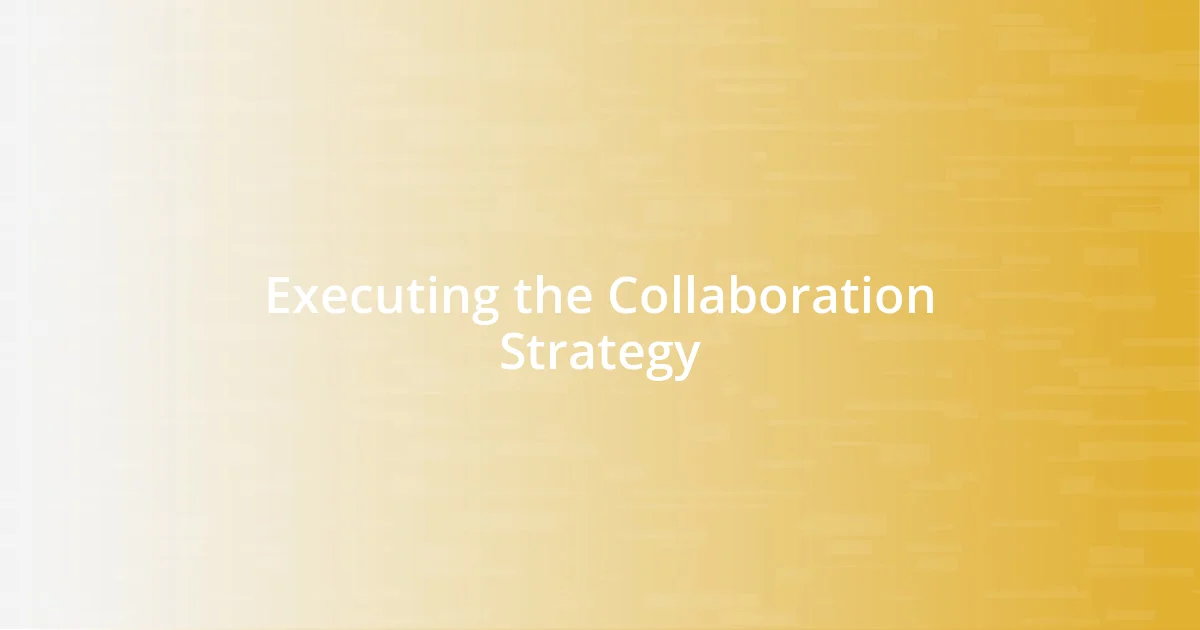 Executing the Collaboration Strategy