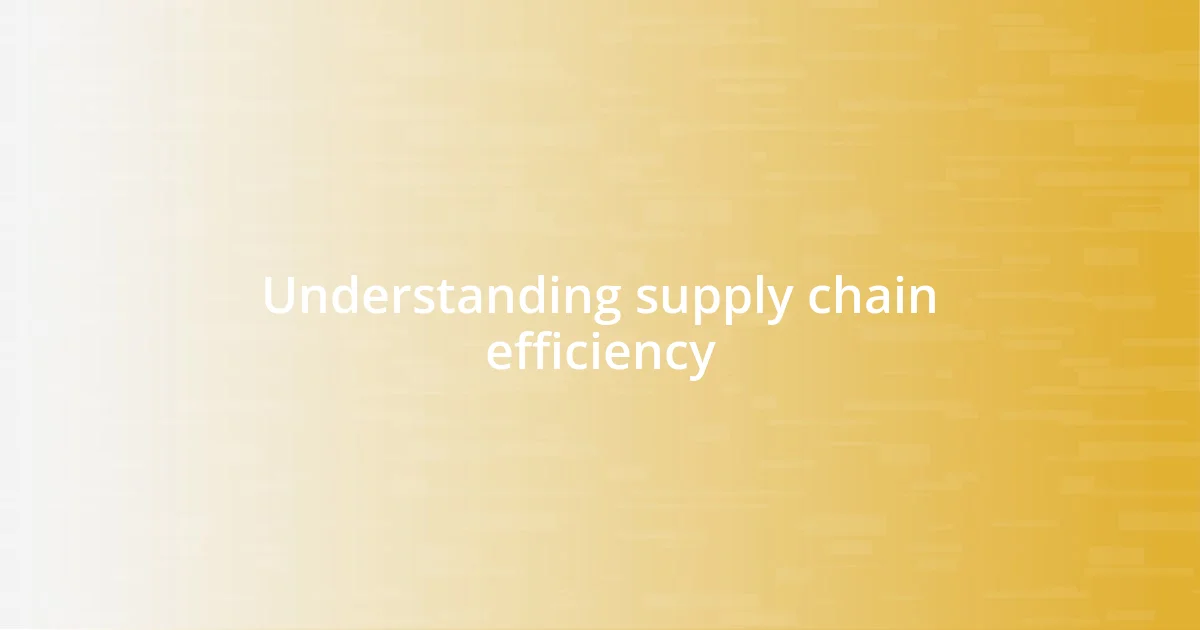 Understanding supply chain efficiency